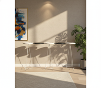 Floating Metal Plate Console Table_Set of 5 in Matt Black and Ivory Colour