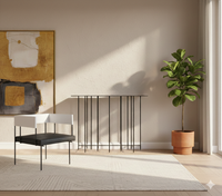 Frame Metal Chair In Matt Black And Ivory Finish